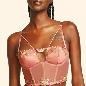 Victorias Secret Embroidered Corset Style Crop Top in Vintage Rose, S